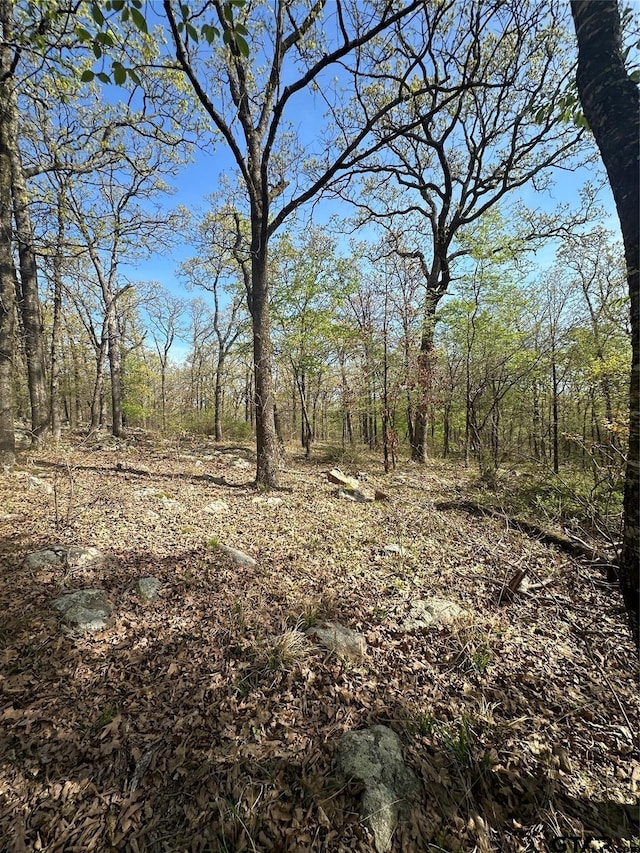 0000 County Road 3641, Sulphur Springs, TX 75482 - photo 17