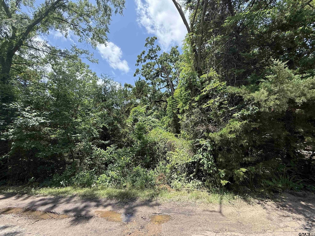 22411 Shady Trl, Flint, TX 75762