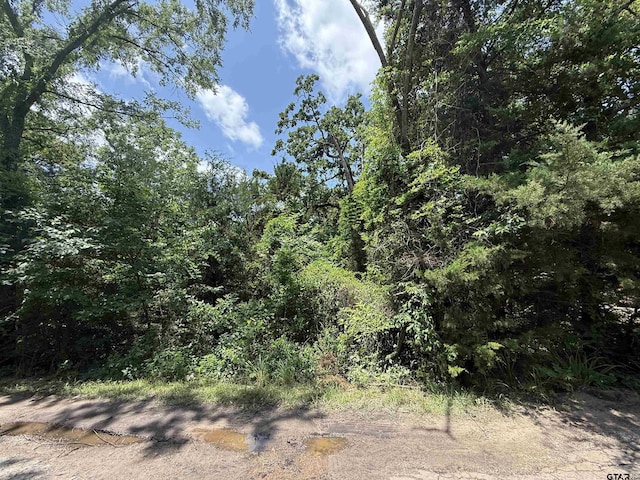 22411 Shady Trl, Flint, TX 75762