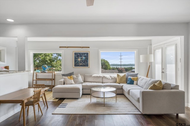 living room featuring a healthy amount of sunlight, french doors, and dark wood-type flooring