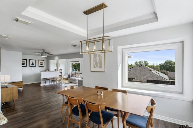 dining area with a raised ceiling, a wealth of natural light, ceiling fan, and dark wood-type flooring