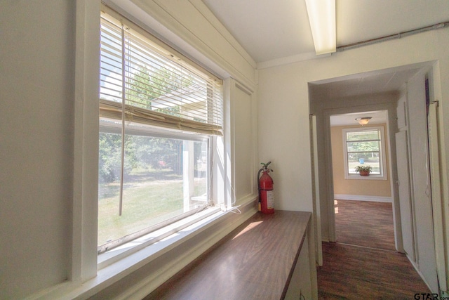 hallway with dark hardwood / wood-style flooring