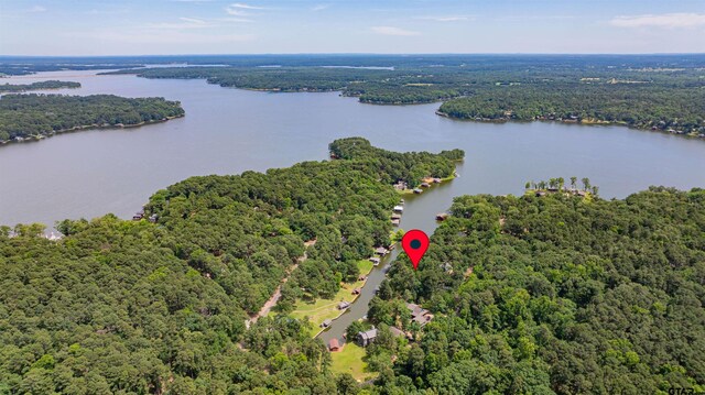 203 King Laurence Ct, Scroggins, TX 75480 - drone / aerial view of a forest and a nearby body of water