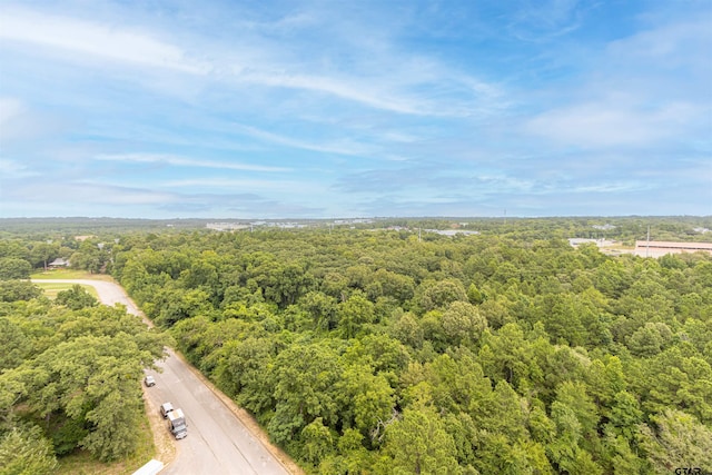 2801 Wexford Dr, Tyler, TX 75709 - photo 44