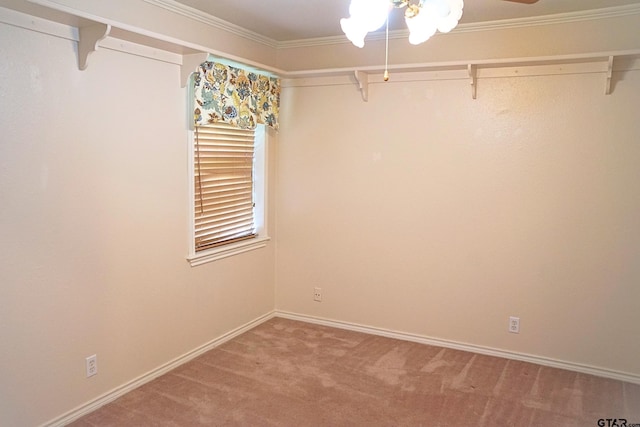 spacious closet featuring carpet and ceiling fan