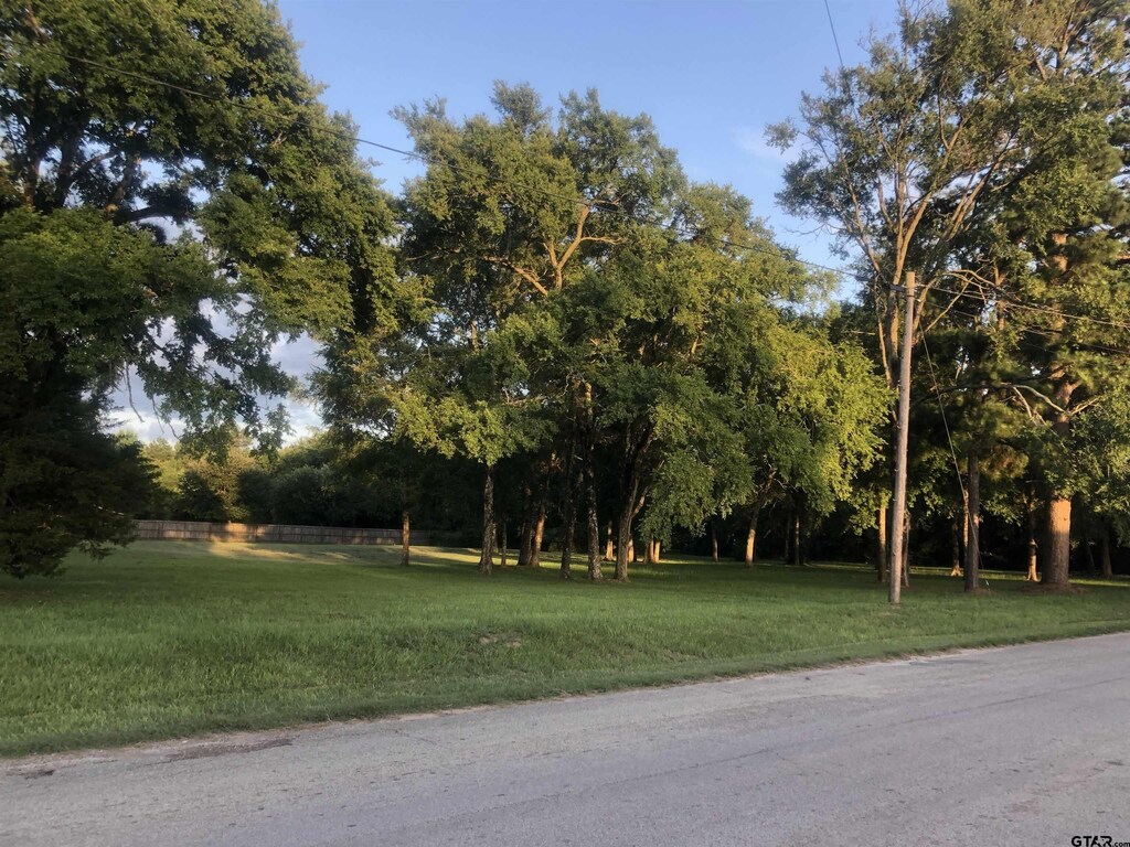 124 White St, Rusk, TX 75785 - photo 2