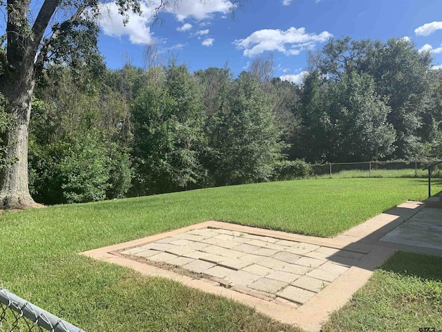 2326 Pleasant Dr, Tyler, TX 75701 - view of yard featuring a patio