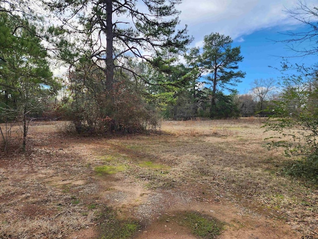 Listing photo 2 for TBD Johnson Rd, Kilgore TX 75662