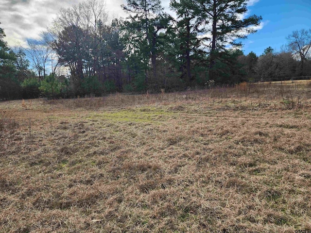 Listing photo 3 for TBD Johnson Rd, Kilgore TX 75662