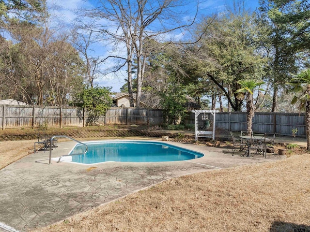 view of pool featuring a patio