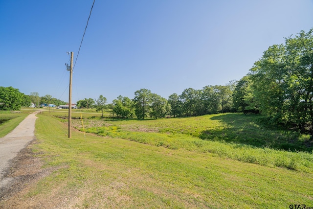 1441 Fm 557, Pittsburg, TX 75686 - photo 31