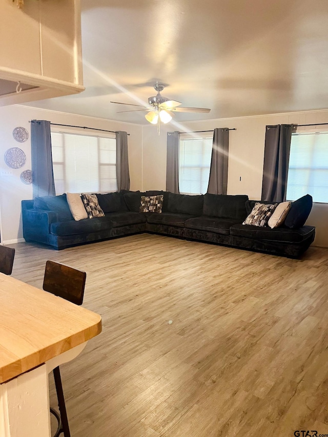 living room featuring ceiling fan and wood finished floors