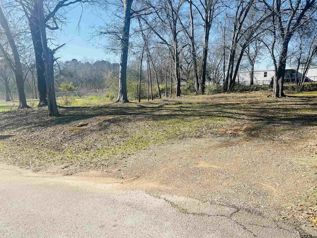 Listing photo 2 for 405 Short St, Troup TX 75789