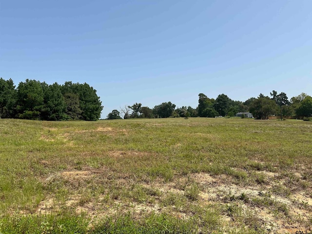 Listing photo 3 for LOT11 Pleasant Ride Rd, Frankston TX 75763