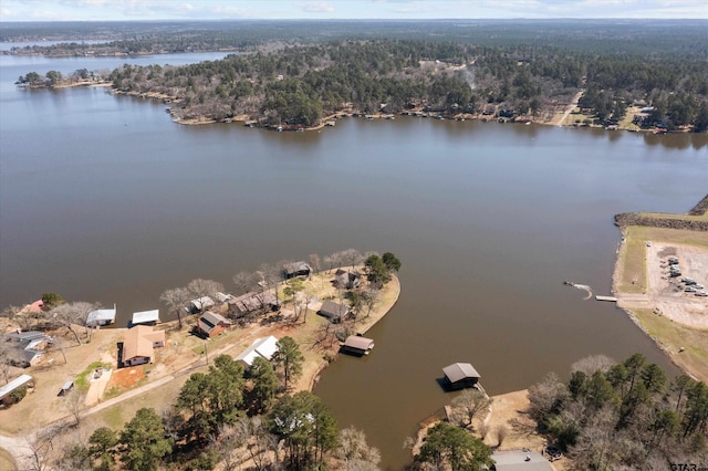 160 Lookout Point Dr, Grapeland, TX 75844 - aerial view featuring a water view