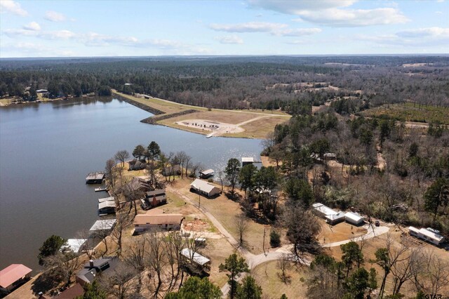 160 Lookout Point Dr, Grapeland, TX 75844 - drone / aerial view with a forest view and a water view