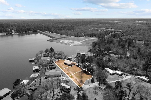 160 Lookout Point Dr, Grapeland, TX 75844 - birds eye view of property with a water view