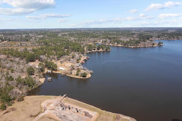 160 Lookout Point Dr, Grapeland, TX 75844 - aerial view with a forest view and a water view