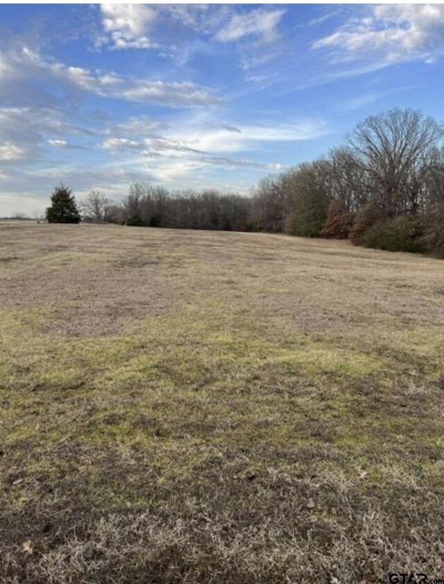 TBD County Road 4215, Mount Pleasant, TX 75455
