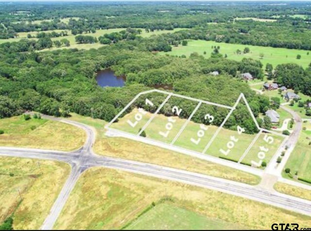 TBD County Road 4215, Mount Pleasant, TX 75455