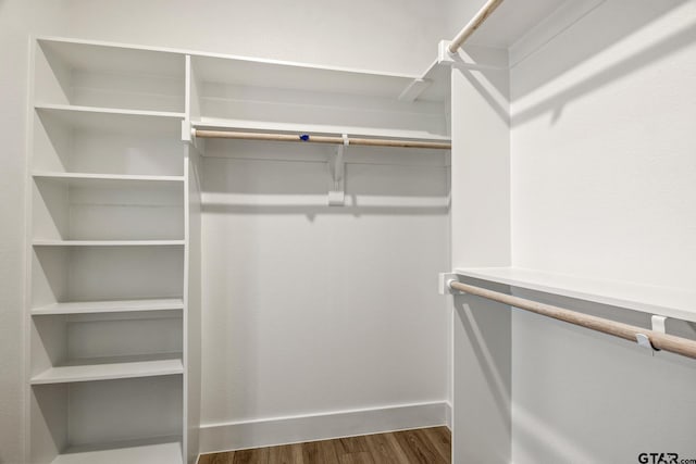 spacious closet featuring dark wood-style flooring