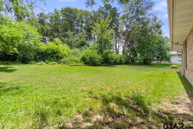 251 Texas Dr, Hideaway, TX 75771 - photo 35