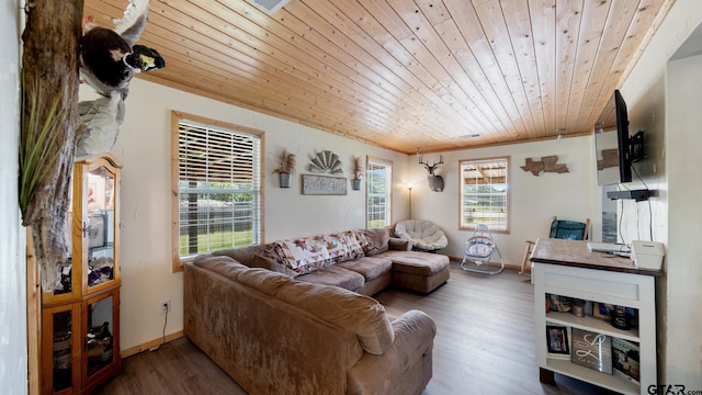 29080 State Highway 19 N, Athens, TX 75752 - photo 6