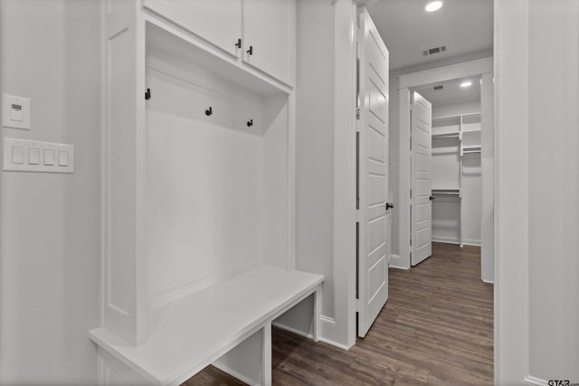 mudroom featuring dark wood-type flooring