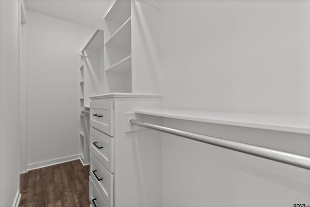 walk in closet with dark hardwood / wood-style flooring