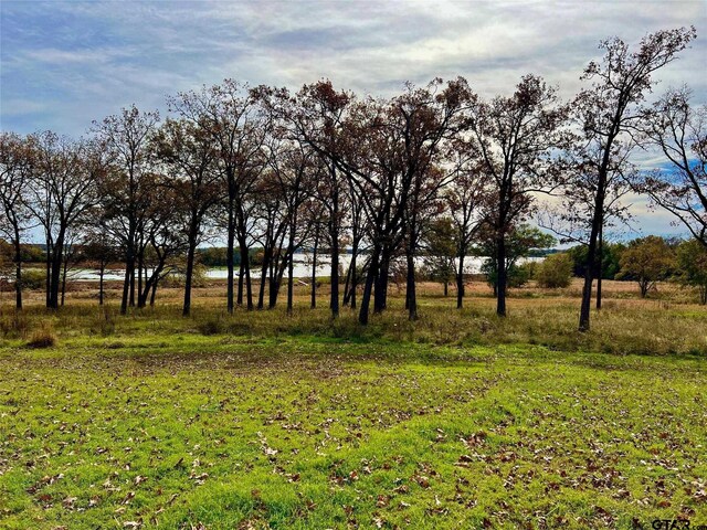 view of yard with a water view