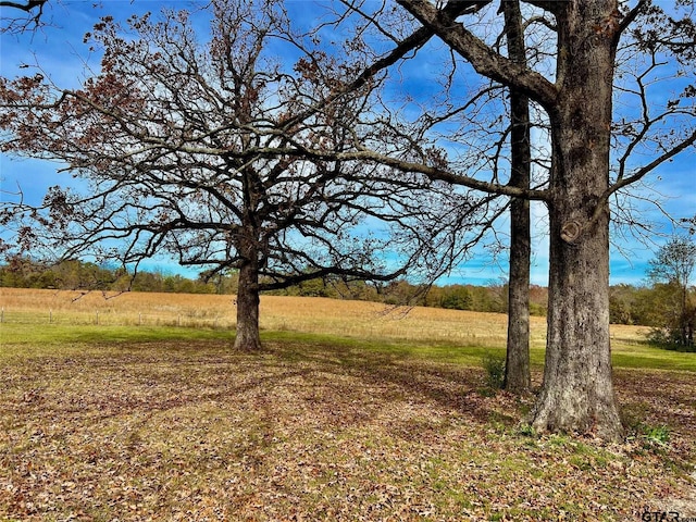 view of yard featuring a rural view