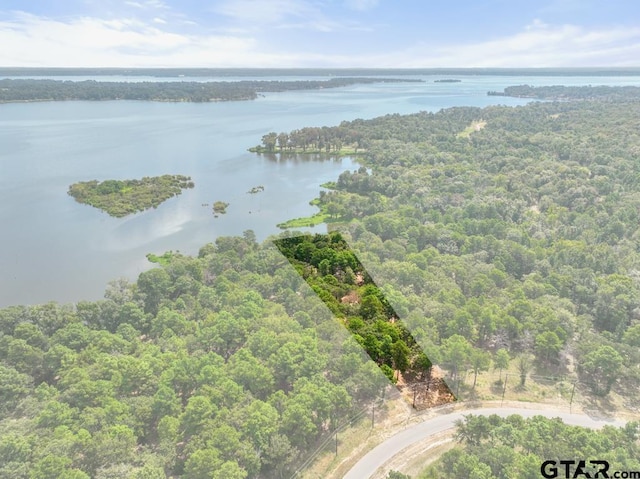 3256 Shadow Pine Dr, Larue, TX 75770