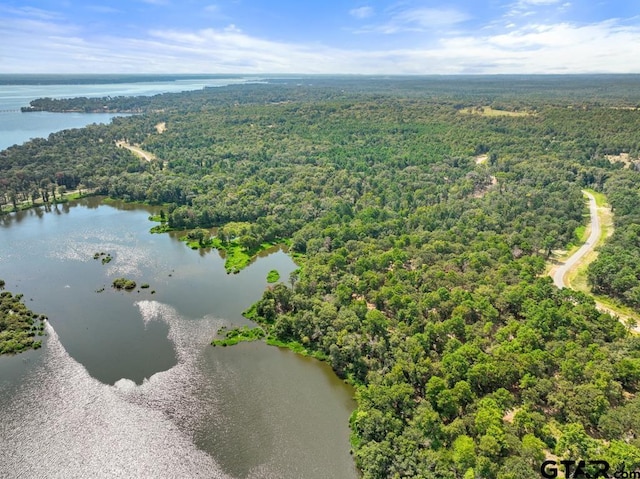 3256 Shadow Pine Dr, Larue, TX 75770