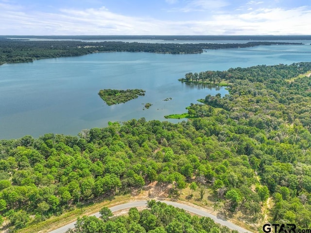 3256 Shadow Pine Dr, Larue, TX 75770