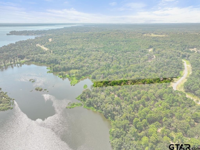 3256 Shadow Pine Dr, Larue, TX 75770