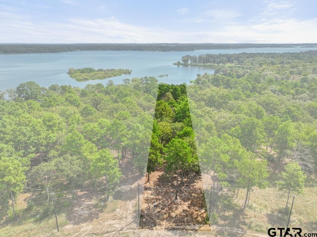 3256 Shadow Pine Dr, Larue, TX 75770