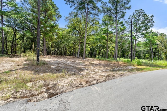 3256 Shadow Pine Dr, Larue, TX 75770