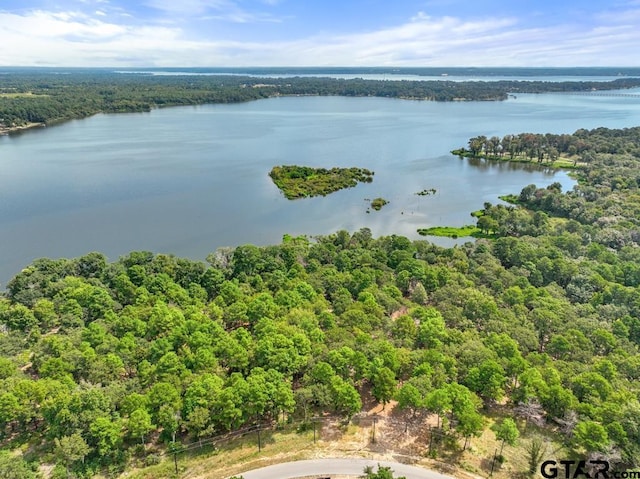 3256 Shadow Pine Dr, Larue, TX 75770