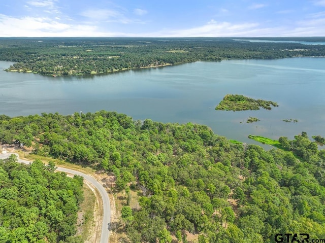 3256 Shadow Pine Dr, Larue, TX 75770