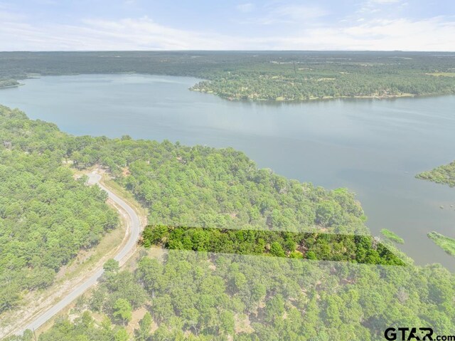 3256 Shadow Pine Dr, Larue, TX 75770