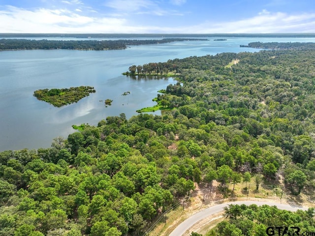 3256 Shadow Pine Dr, Larue, TX 75770