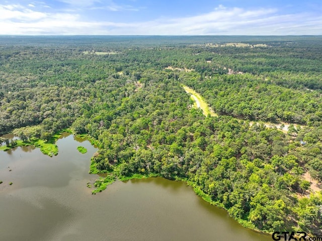 3256 Shadow Pine Dr, Larue, TX 75770