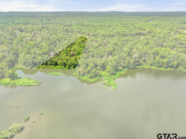 3256 Shadow Pine Dr, Larue, TX 75770