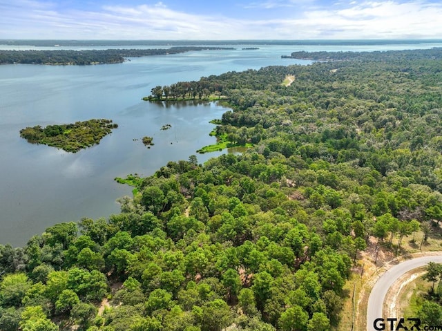 3256 Shadow Pine Dr, Larue, TX 75770