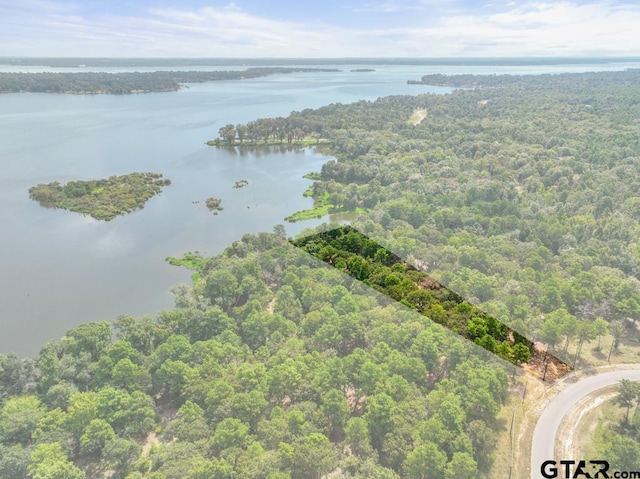 3256 Shadow Pine Dr, Larue, TX 75770