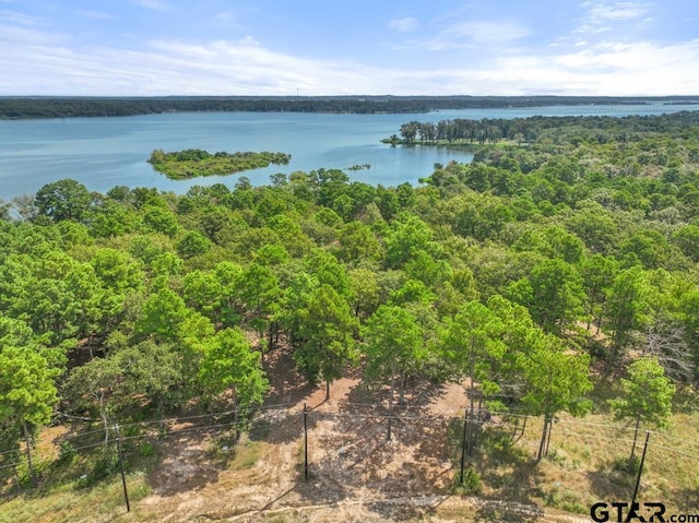 3256 Shadow Pine Dr, Larue, TX 75770