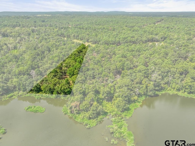 3256 Shadow Pine Dr, Larue, TX 75770