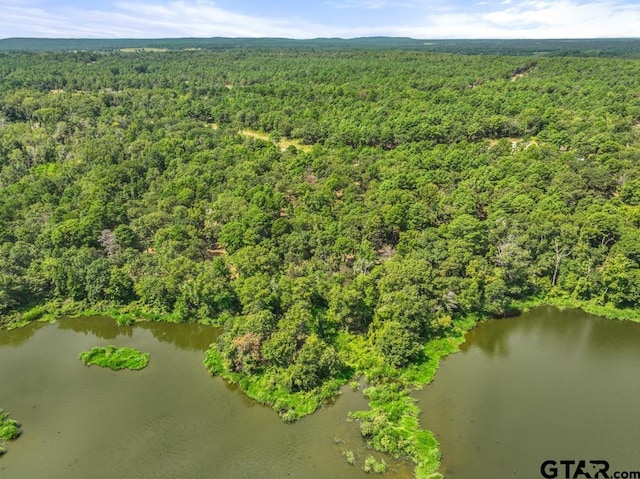 3256 Shadow Pine Dr, Larue, TX 75770