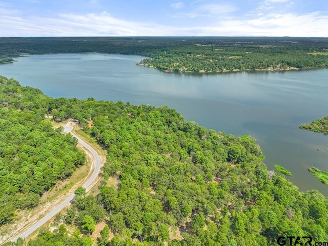 3256 Shadow Pine Dr, Larue, TX 75770