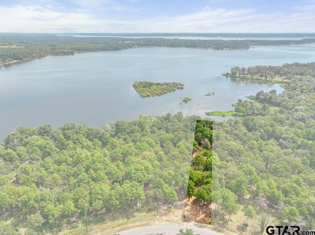 3256 Shadow Pine Dr, Larue, TX 75770